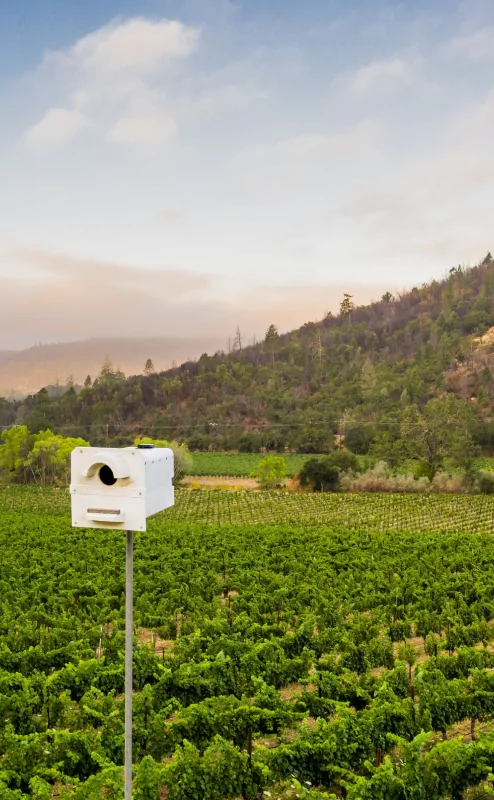 Markham-Winery-Bird-Box-in-Rockerbox-Vineyard-Calistoga-Napa-Valley