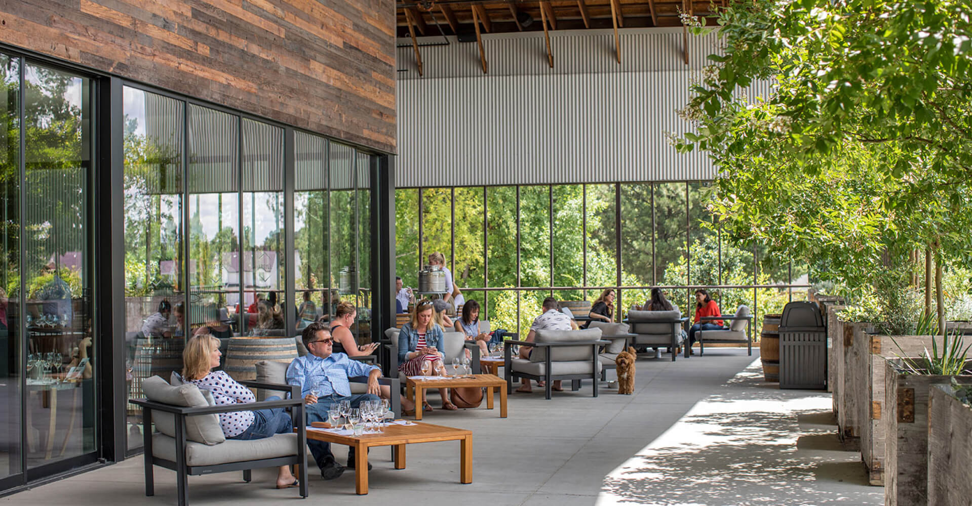 Argyle Winery Distinguished Vineyards