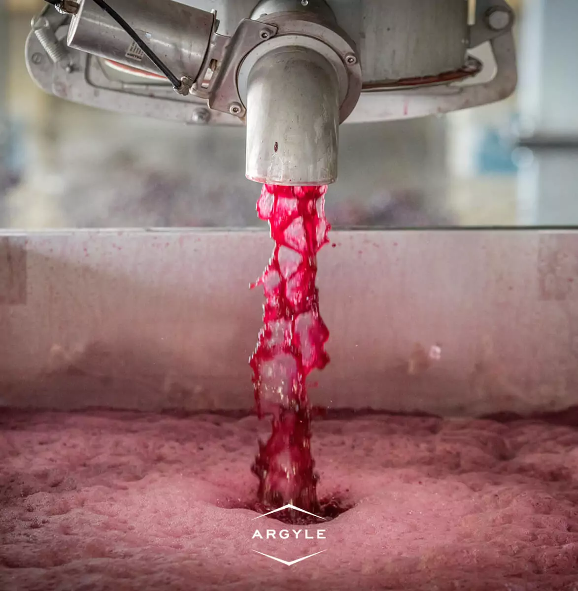 Argyle-Winery-Pinot-Noir-Winemaking-Image